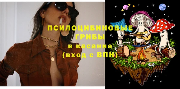 ГАЛЛЮЦИНОГЕННЫЕ ГРИБЫ Балахна