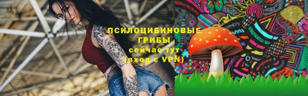 эйфоретик Краснослободск